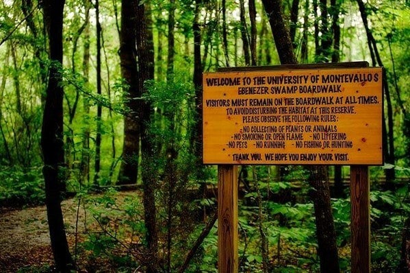 Building Photo - 120 The Heights Dr