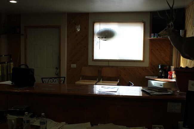 Building Photo - 146 Cedar St