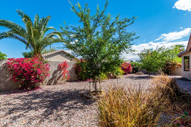 Building Photo - 1642 E Desert Ln