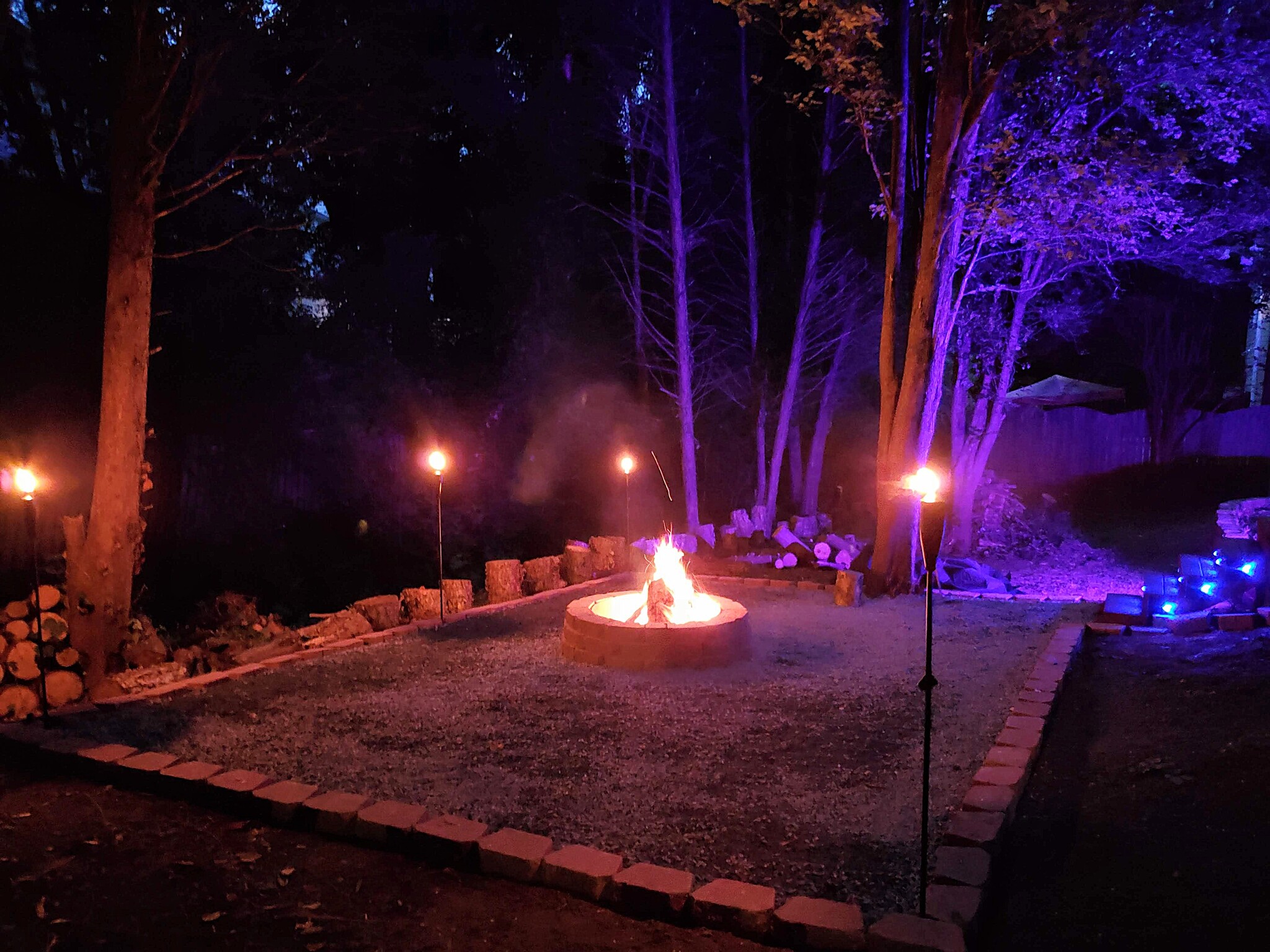 Backyard - Firepit - 2103 Chatou Pl NW