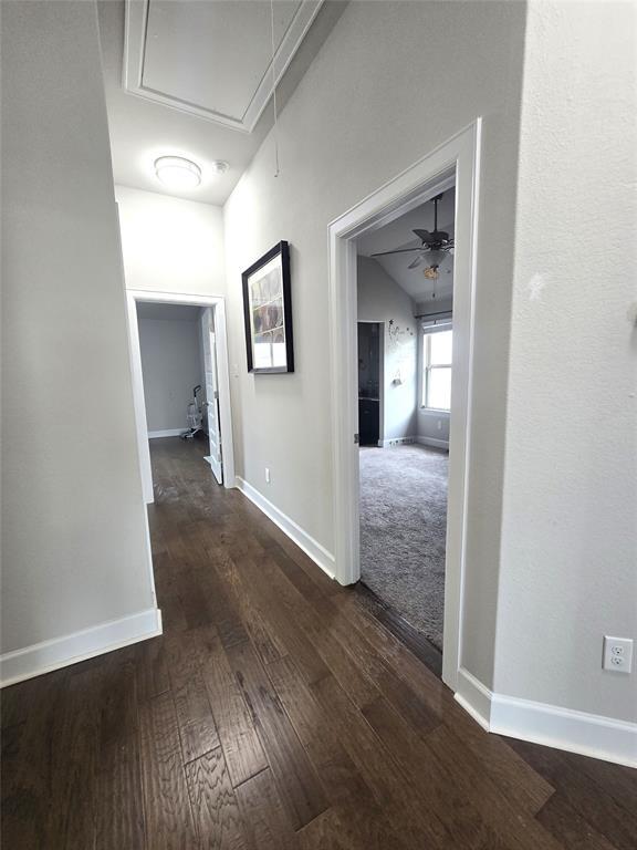 Building Photo - 225 Galveston Island Ln