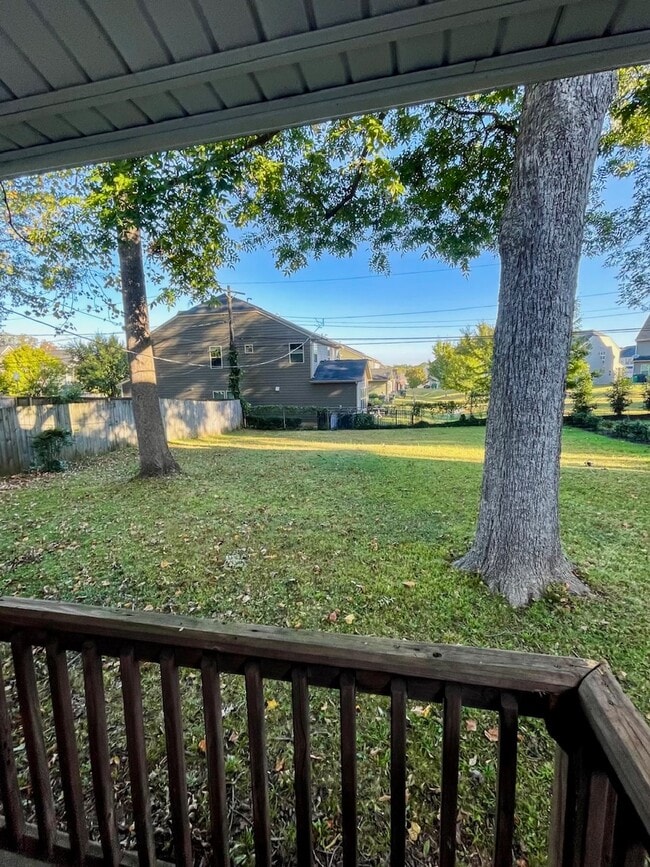 Backyard from Rear Deck - 2338 Morton St