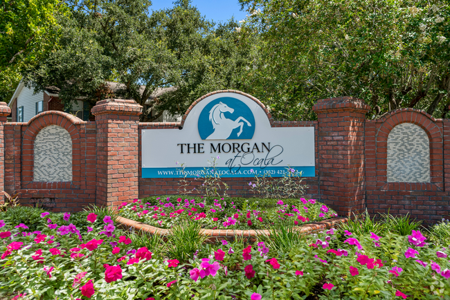 Building Photo - The Morgan at Ocala