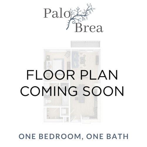 Floorplan - Palo Brea