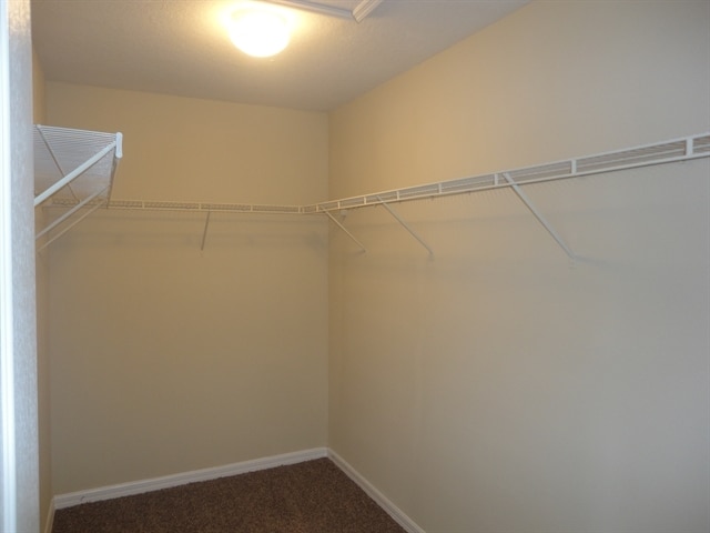 Building Photo - 6337 Magnolia Trails Ln