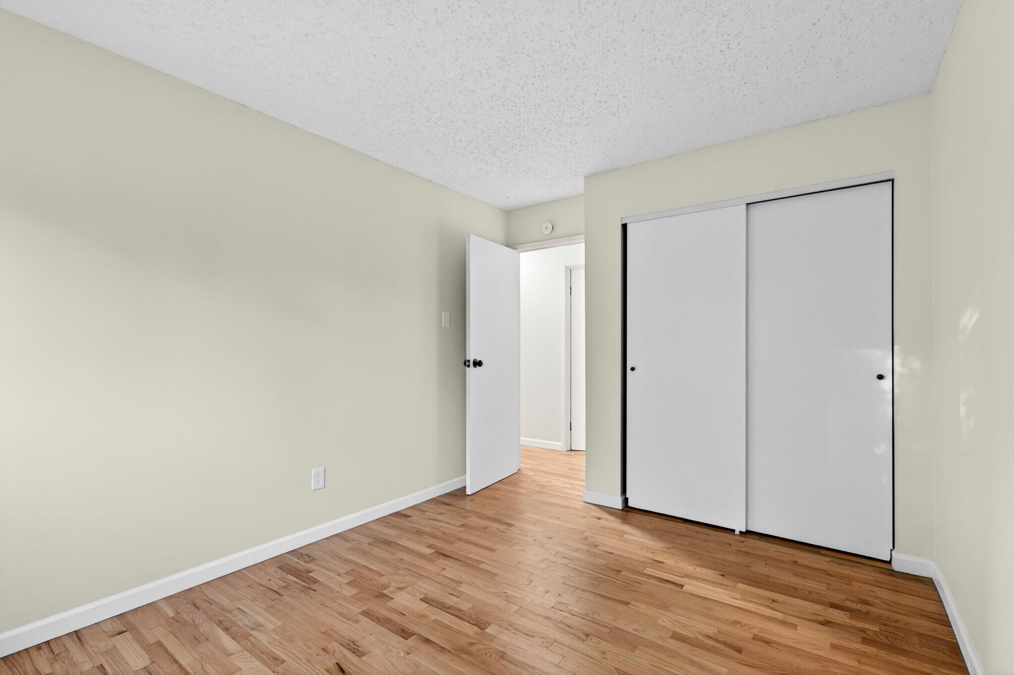 Primary Bedroom - 2246 Bensonhurst Dr