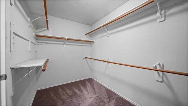 Building Photo - 134 S Vesper Bend Cir