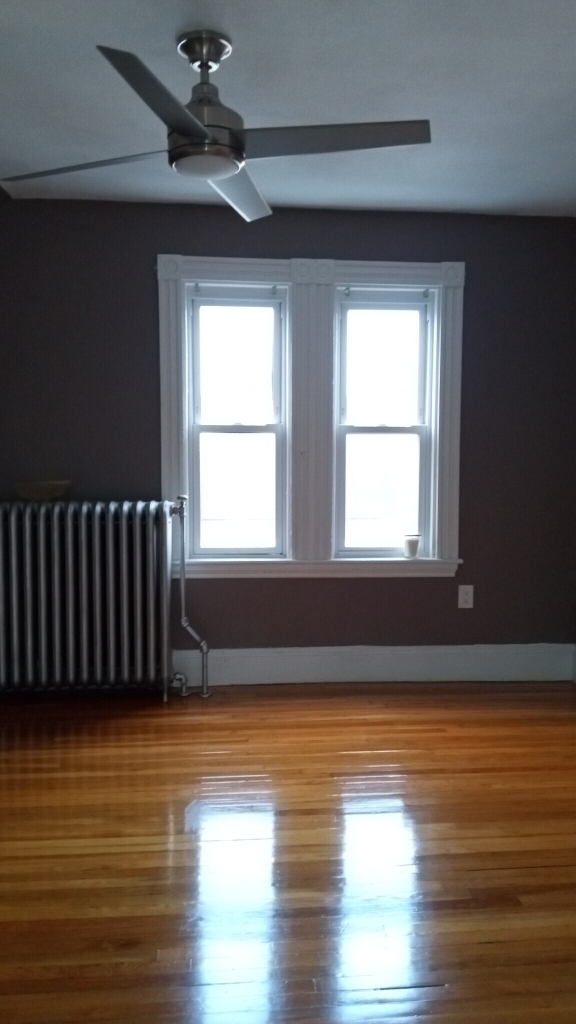 Building Photo - 34 Edwin St