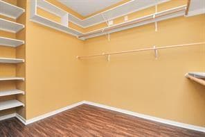 Building Photo - 2971 Windy Briar Ln