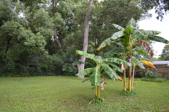 Building Photo - 3660 Rosemary St