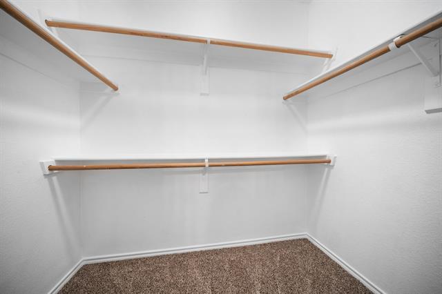 Building Photo - 705 Crownpoint Ln