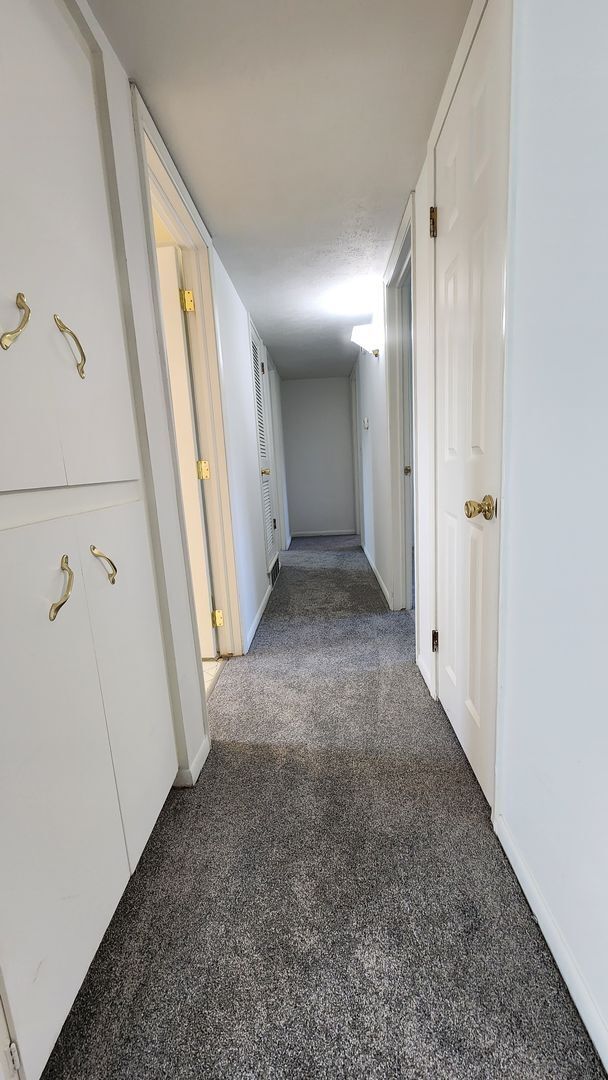 Building Photo - Amazing 3 bedroom Duplex - Super clean and ready to move in!