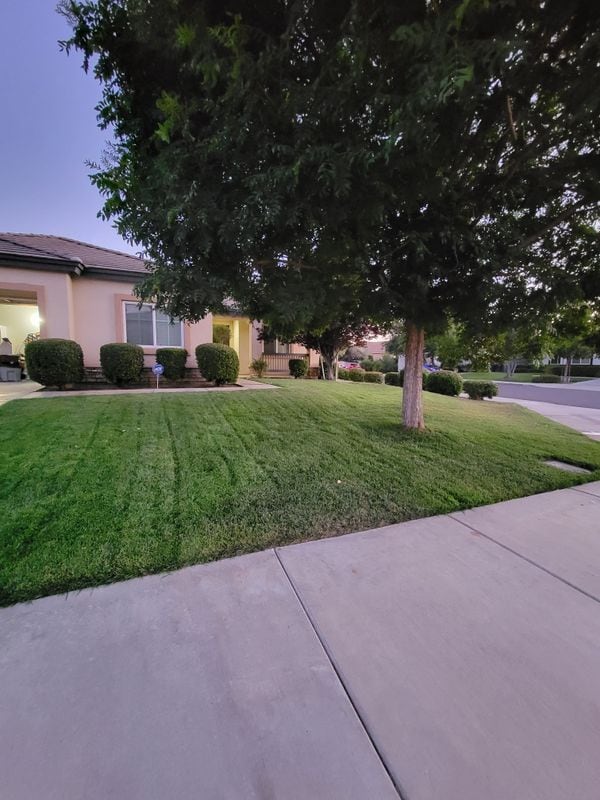 Building Photo - 2274 Purple Finch Ct
