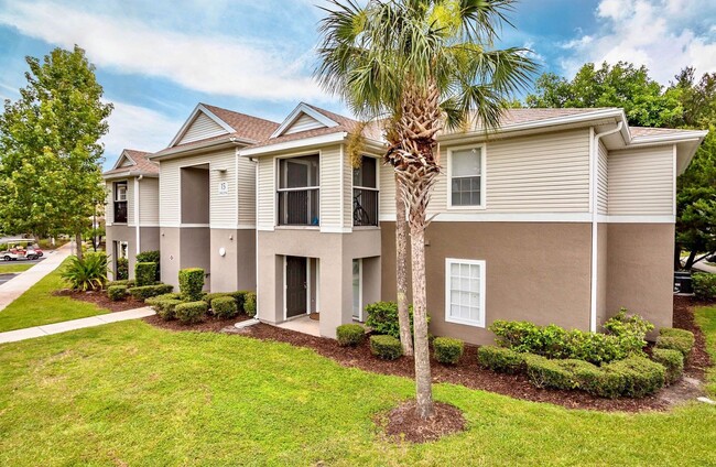 River Trace Apartments New Port Richey