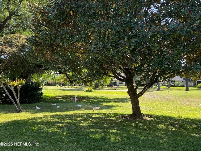 Building Photo - 3713 Constancia Dr