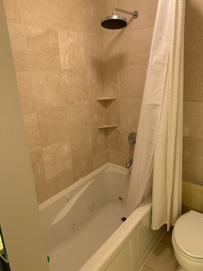 Building Photo - 535 N Michigan Ave