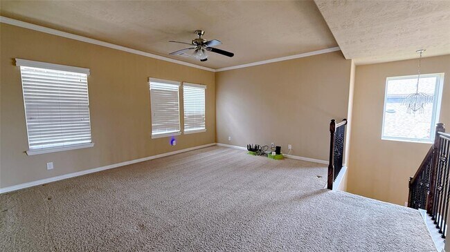 Building Photo - 2311 Blue Jay Ln