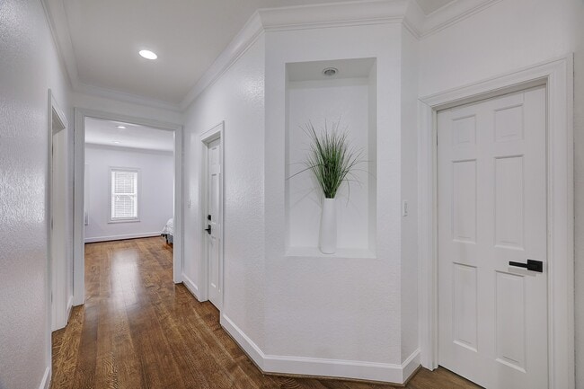 Building Photo - 6213 San Felipe St