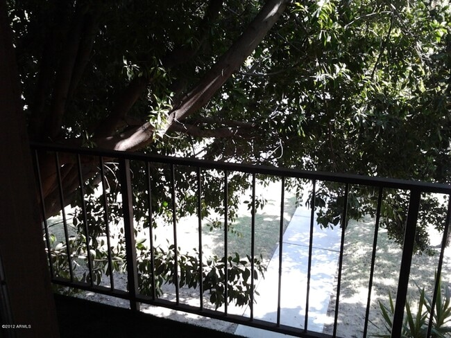 Building Photo - 1302 E Maryland Ave