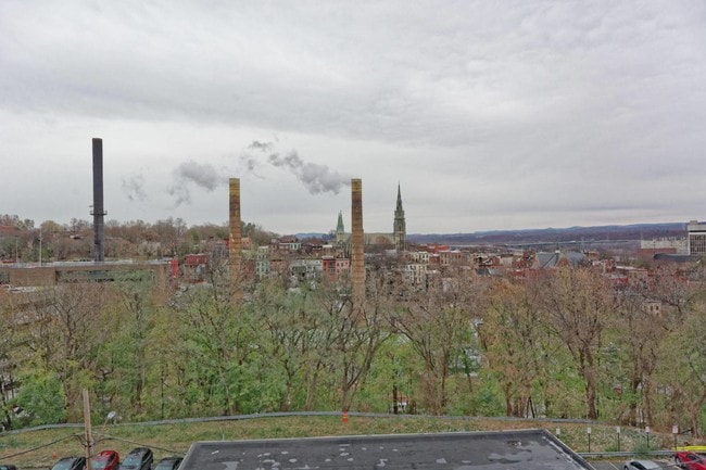 Building Photo - 29 Elk St