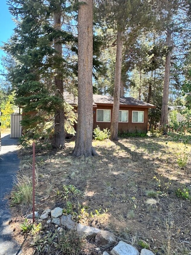 Primary Photo - Lovely single level cabin avail. for a Sea...