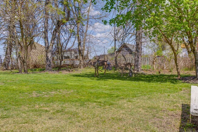 Building Photo - Available MAY 2026 - Beautiful, LARGE 4+ bedroom/2 bath GEM in South Side Slopes!