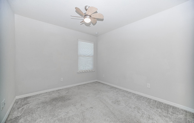 Building Photo - 79 Myrtle Oak Ct