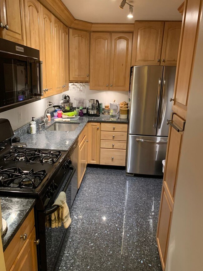 Building Photo - Rare Georgetown Townouse with private yard - 1 block from Rose Park / M St