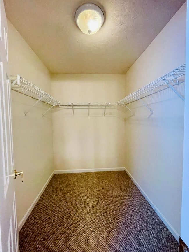 Building Photo - Updated Duplex for Rent