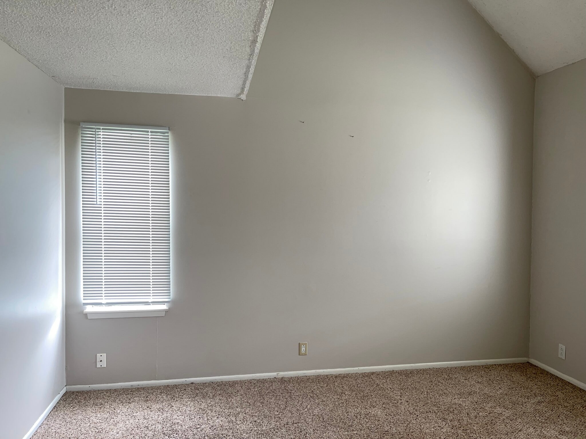 Livingroom - 207 Wisconsin St