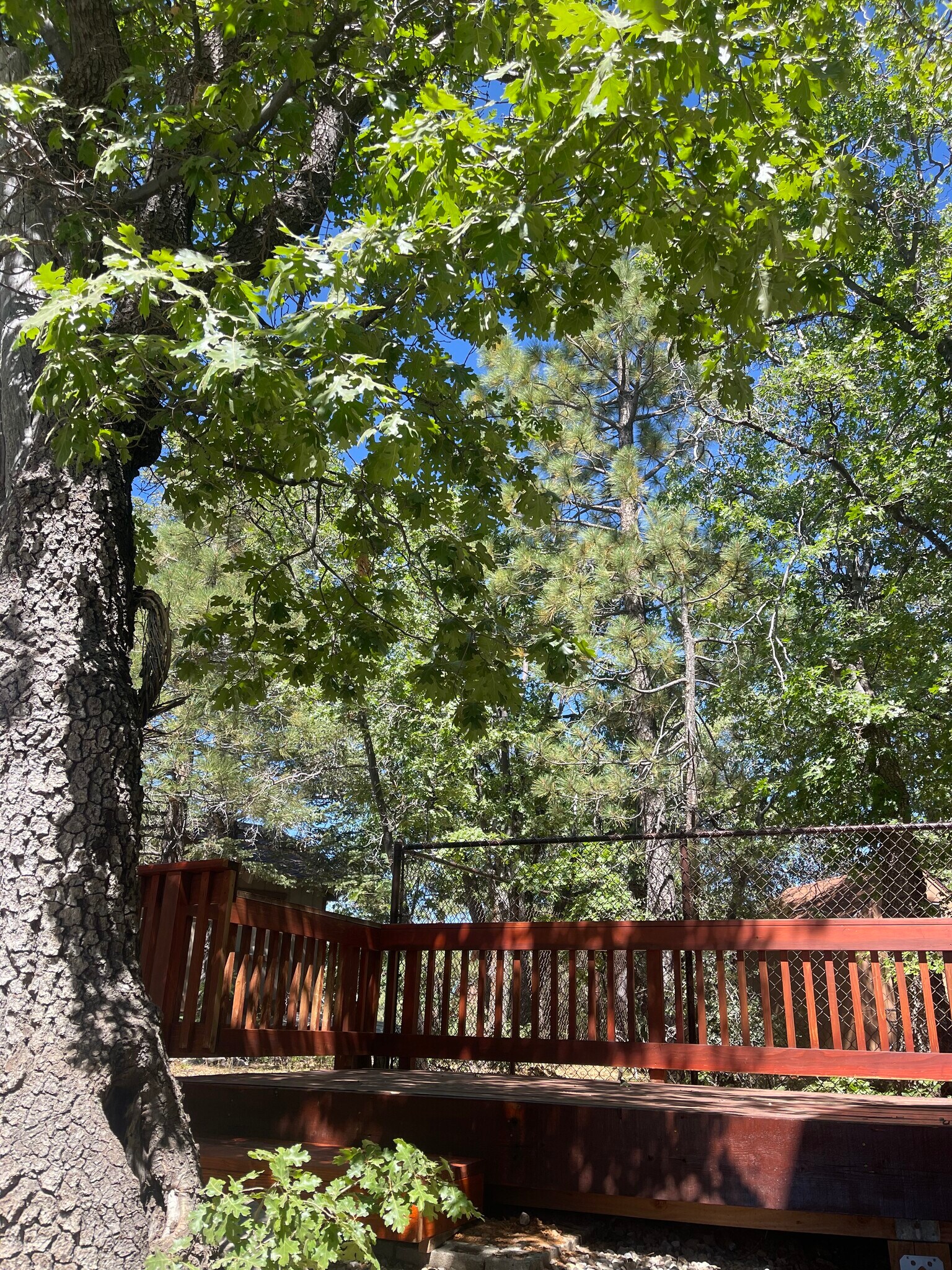 Building Photo - 1455 Rockspray Dr