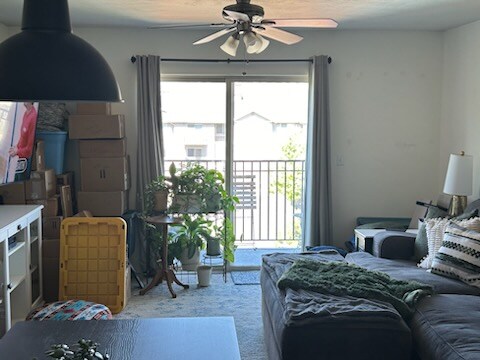 Building Photo - 1230 Privet Dr