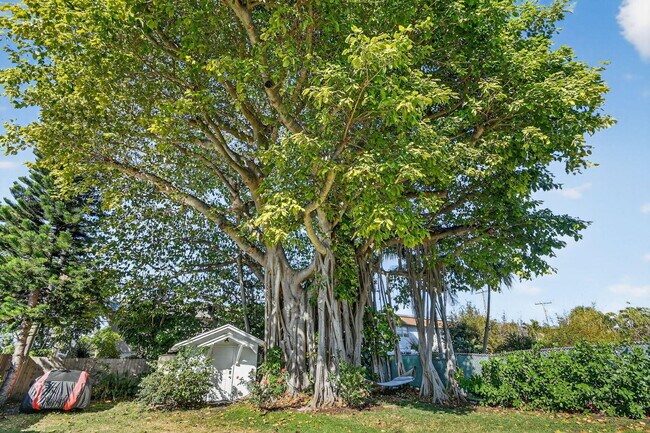 Building Photo - 1511 S Palmway