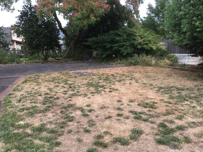 Building Photo - Overlook Charmer