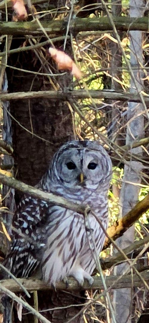 Building Photo - One bedroom apartment for rent in Andover Connecticut!