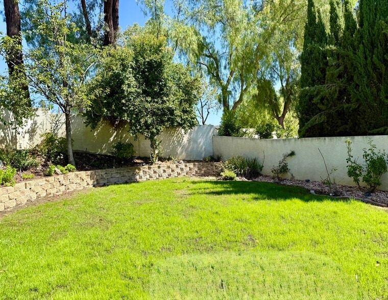 Backyard - 30863 Orleans Ct