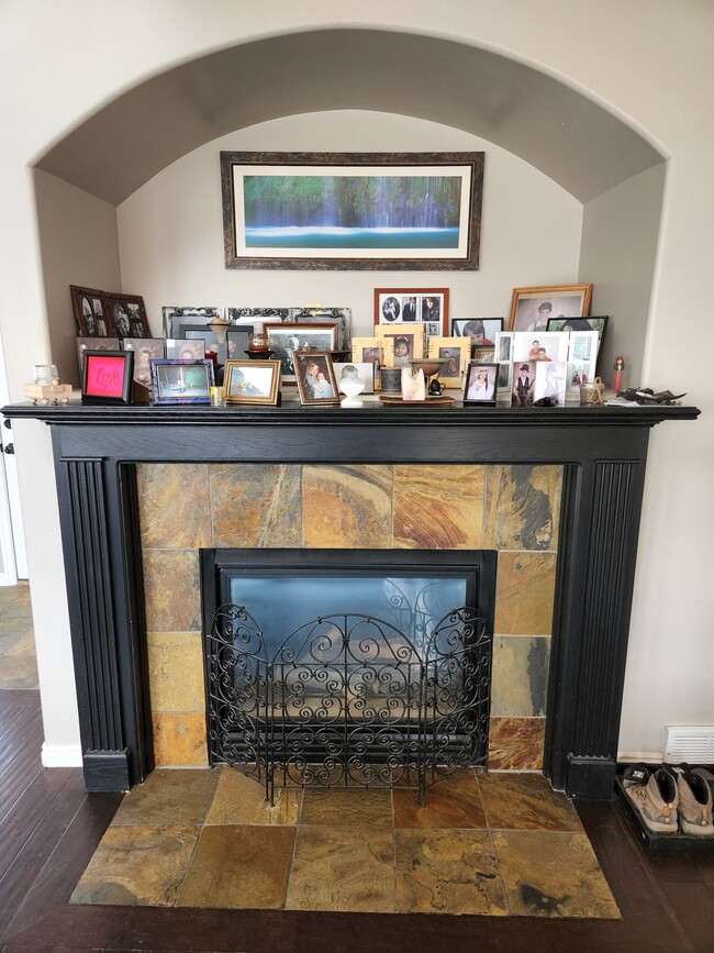 Gas Fireplace - 710 E Sandy Point Dr