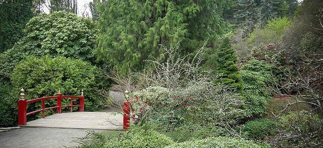 Building Photo - One Block to Lake Washington, Available Aug 1st