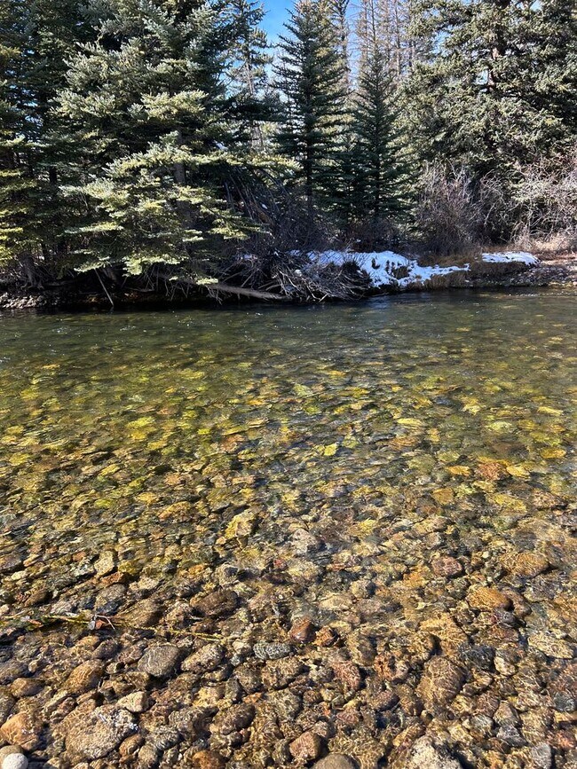 Building Photo - Luxury 3 bedoom/2.5 bathroom Home w/ Hot Tub