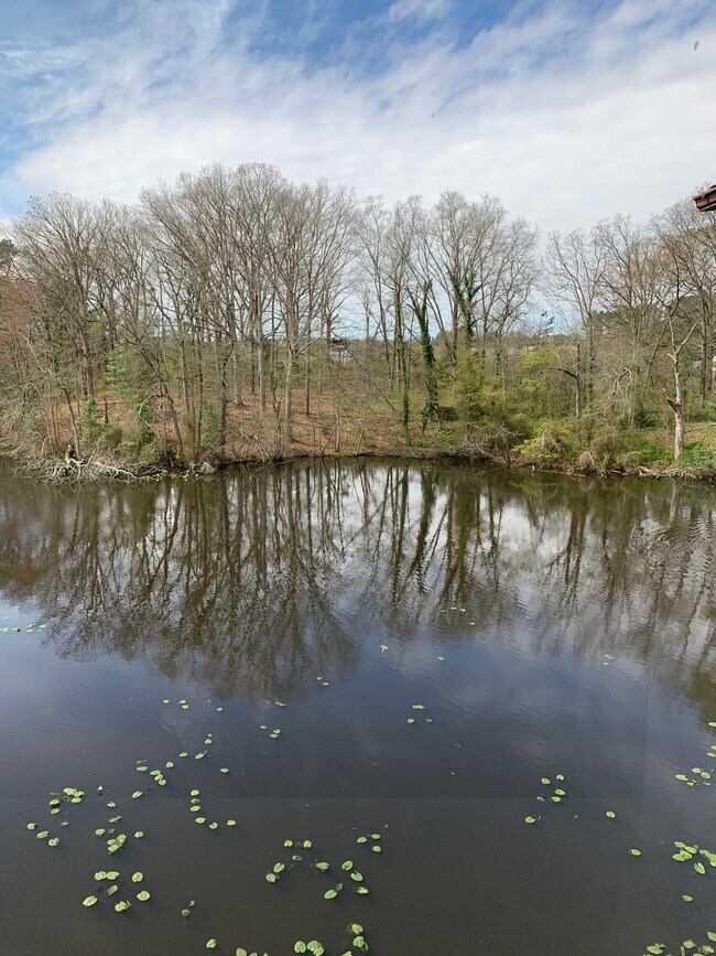 Building Photo - 231 Canal Park Dr