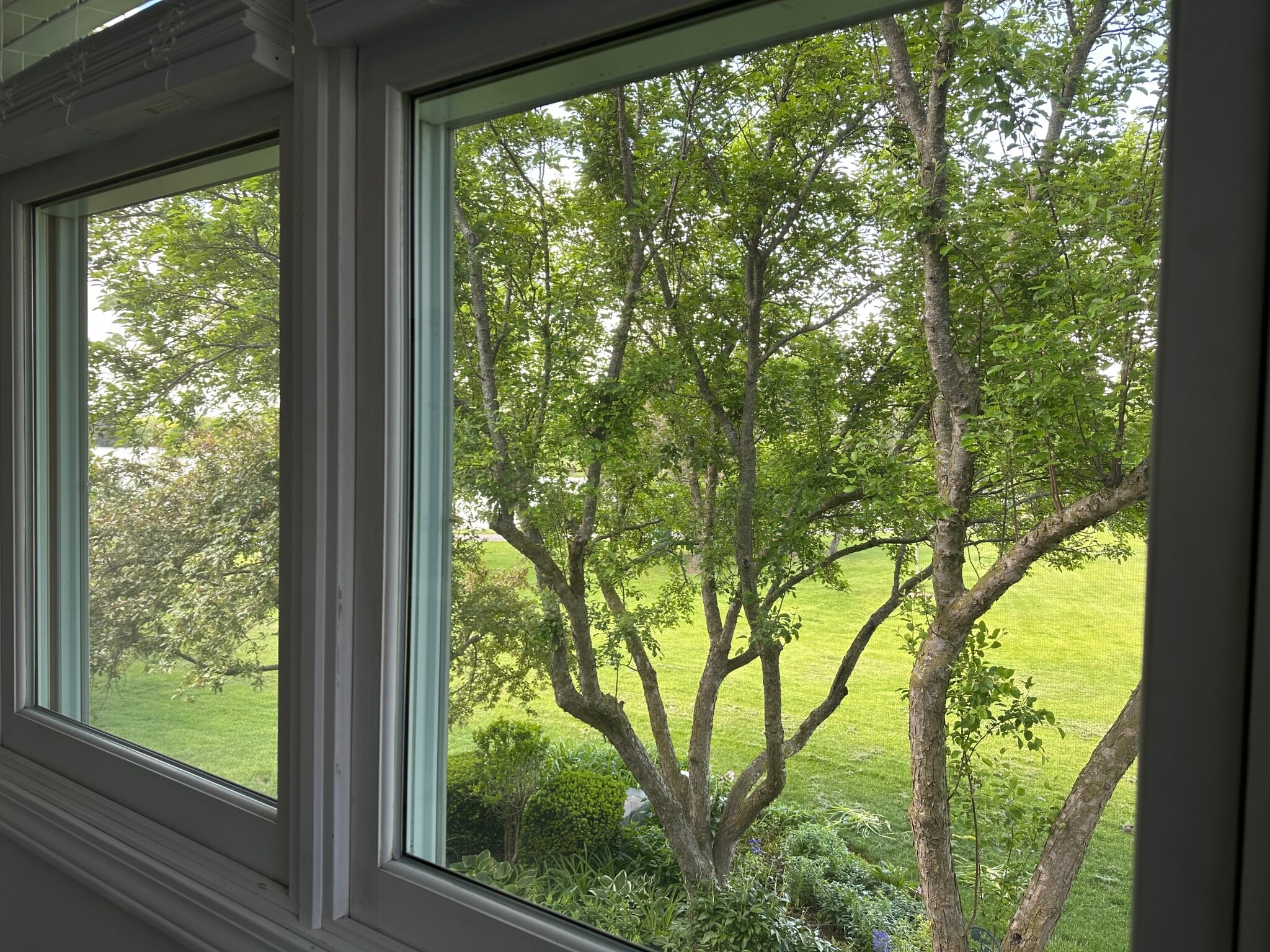 Marvin windows - 174 Hemingway Ct