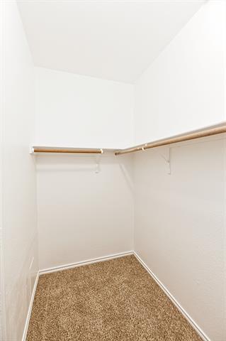 Building Photo - 4009 Hidden Meadow Ct