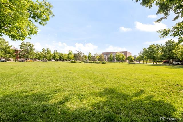 Building Photo - 9369 Longs Peak Dr