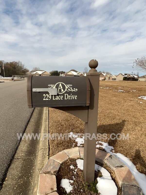 Building Photo - 229 Lace Dr