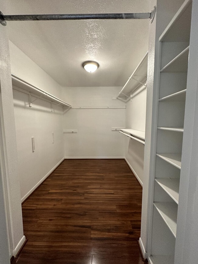 Building Photo - 1009 Augusta Dr