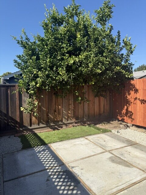 Building Photo - "Charming Studio Retreat in San Jose: Cozy 400 Sq Ft Haven with Full Bath!"  Full Kitchen, Heater...