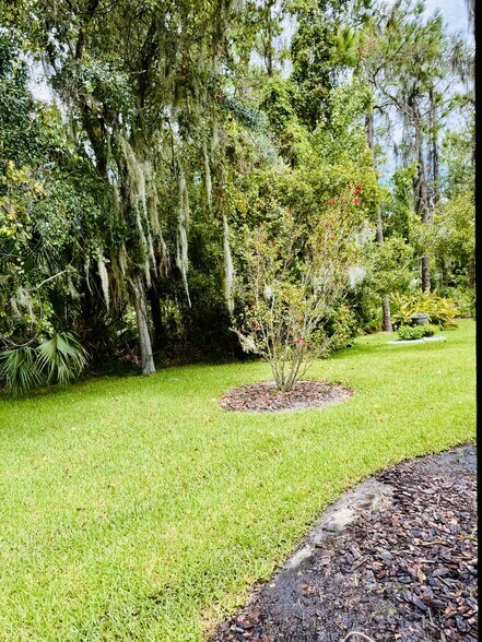 Backyard # 1 - 27325 Edenfield Dr