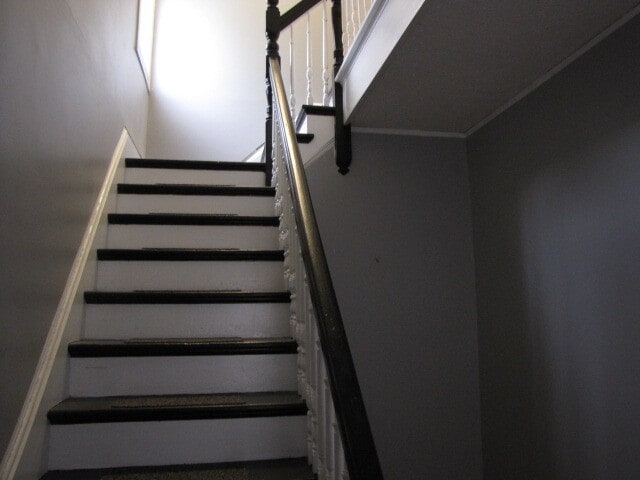 front stairs - 1807 Euclid Ave