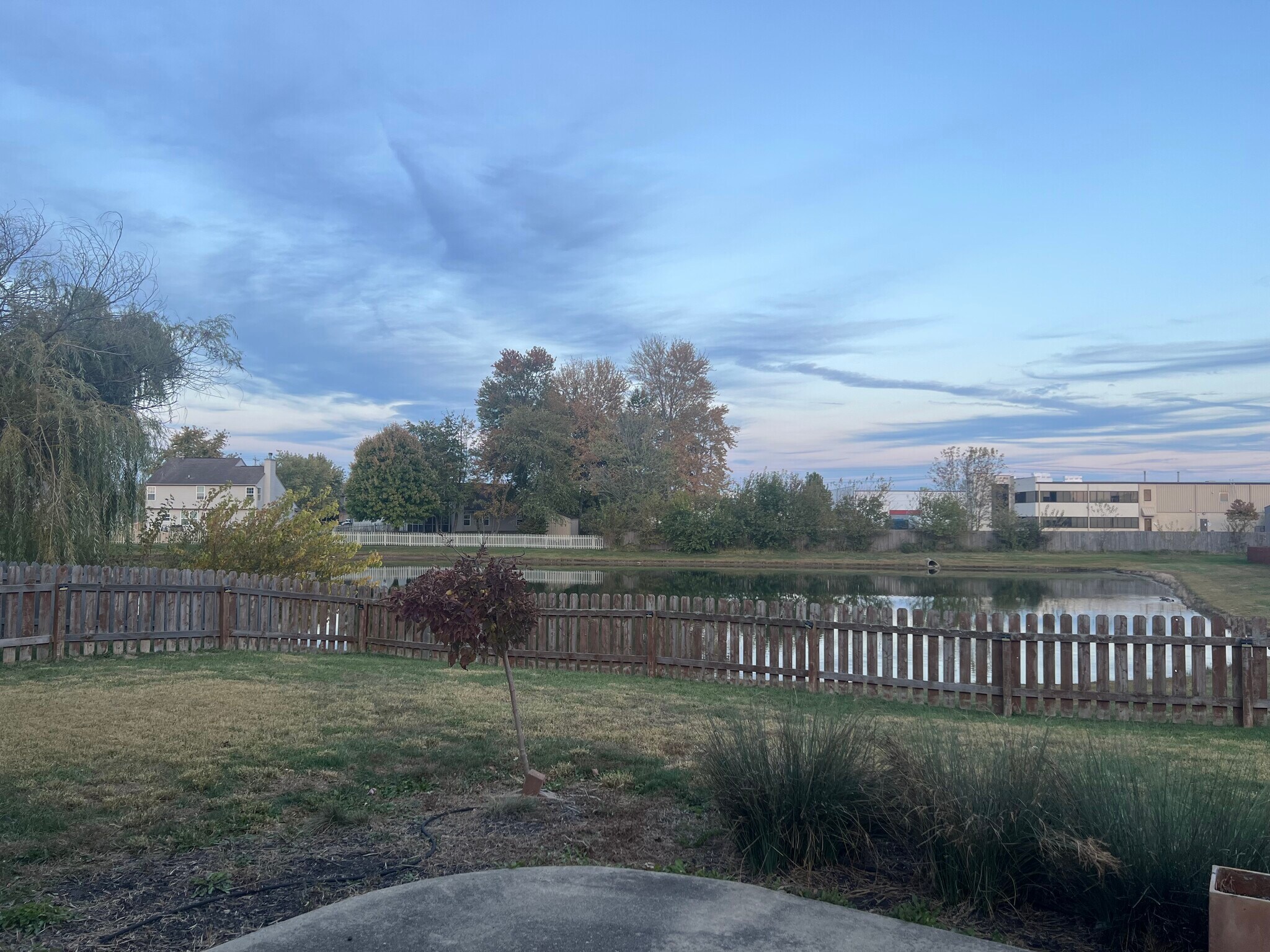 Back yard - 227 Lakemoore St