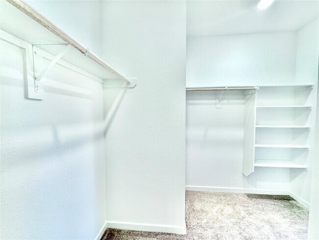 Building Photo - 21823 White Stone Creek Dr